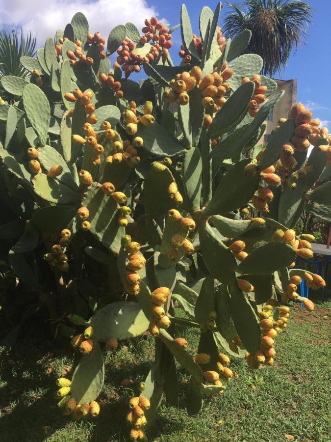 Il Giardino Degli Agrumi Caserta Luaran gambar