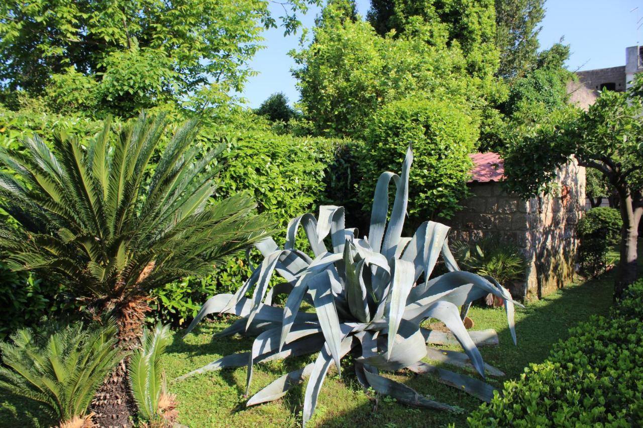 Il Giardino Degli Agrumi Caserta Luaran gambar