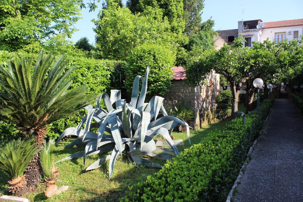 Il Giardino Degli Agrumi Caserta Luaran gambar