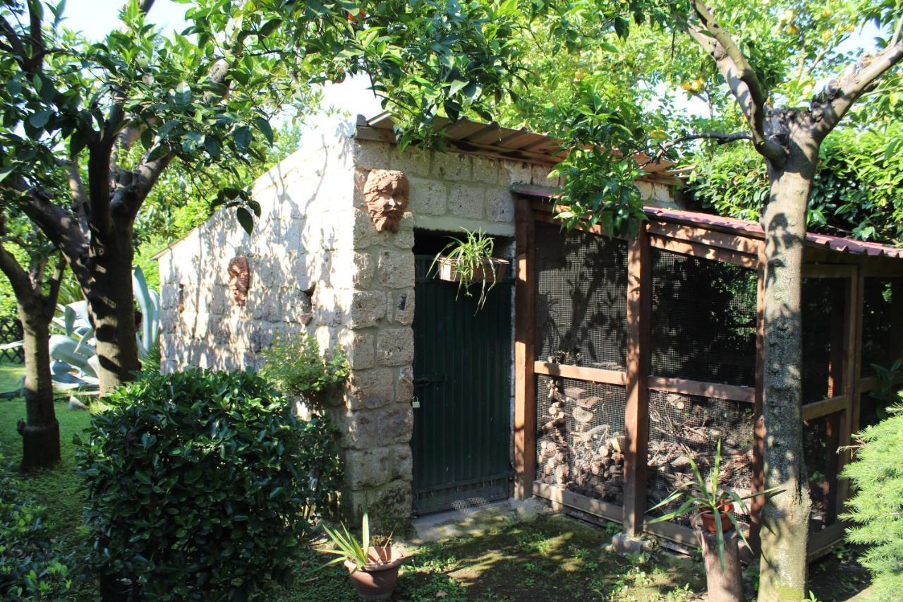 Il Giardino Degli Agrumi Caserta Luaran gambar