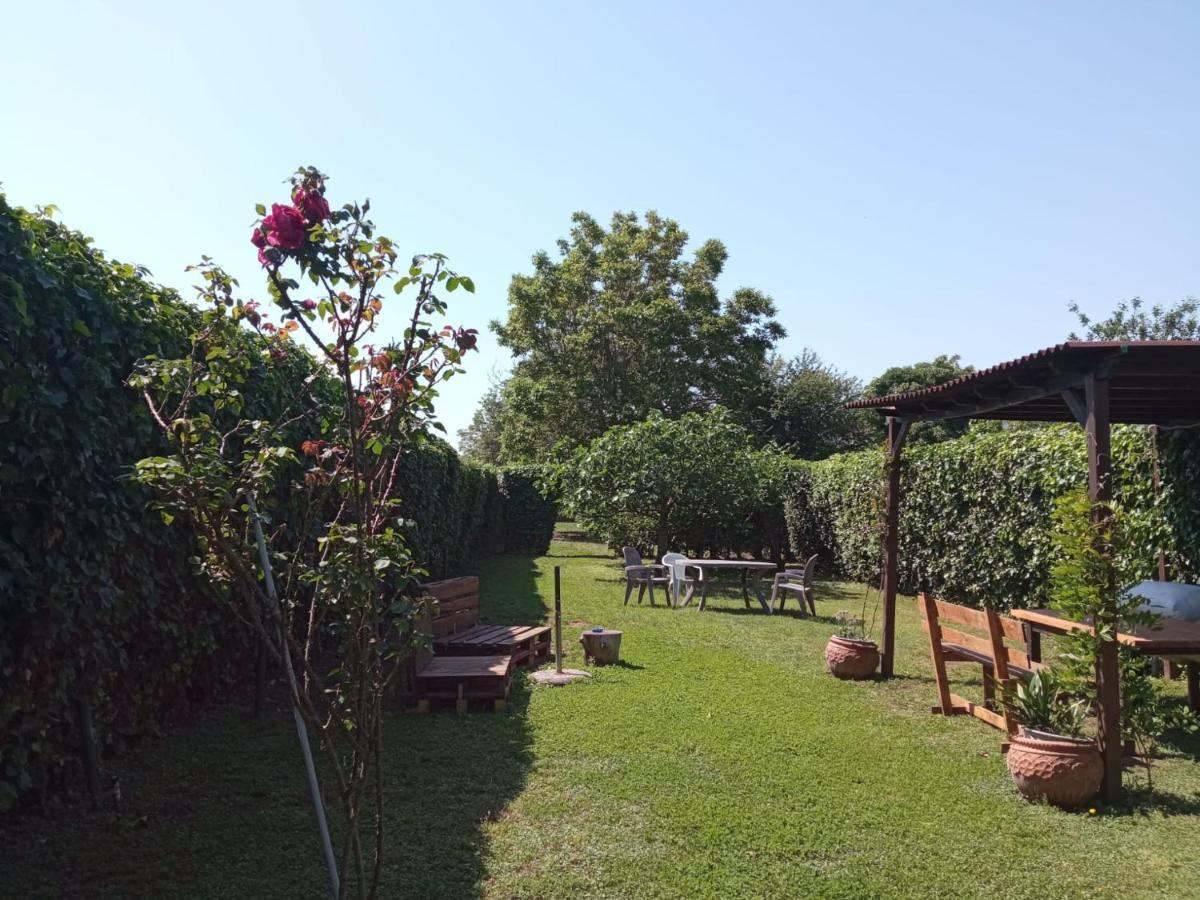 Il Giardino Degli Agrumi Caserta Luaran gambar
