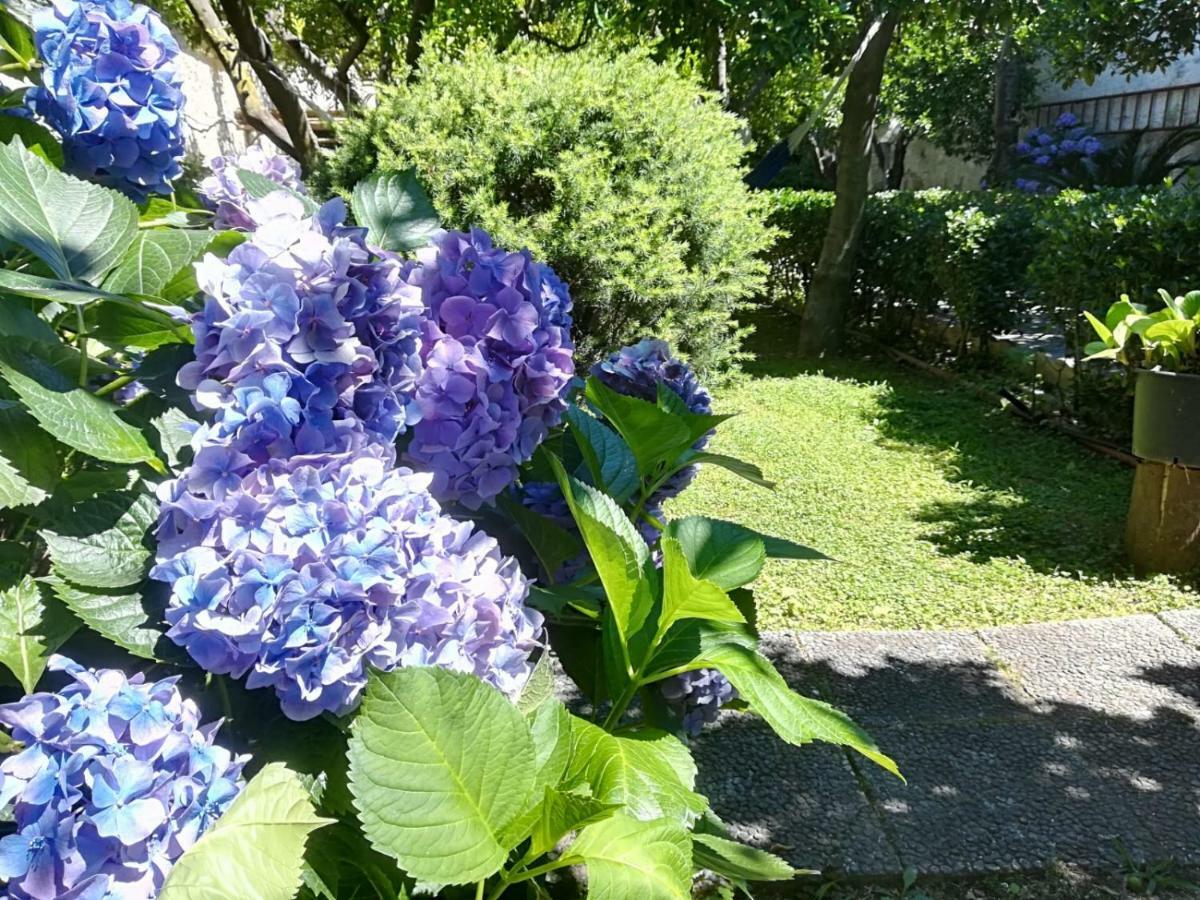 Il Giardino Degli Agrumi Caserta Luaran gambar